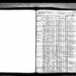1915 New York State Census Bussing (Septer Terry Enumerator)