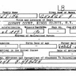 George A. Bussing Naturalization