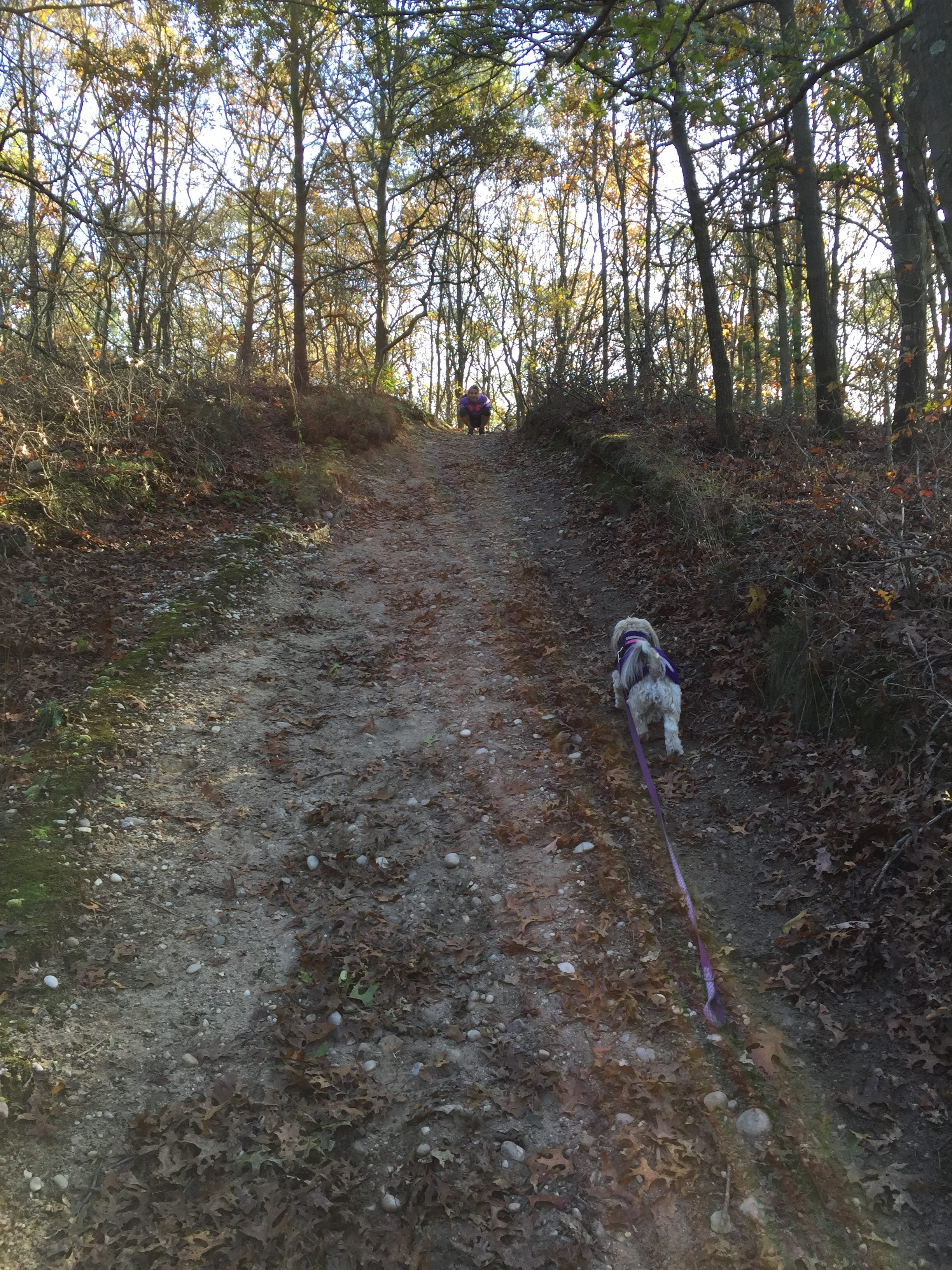 Zen climbing hill