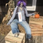 Scarecrow 1