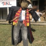 Scarecrow 5