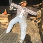 Scarecrow 7